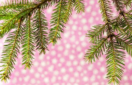 Christmas and new year composition for cardの写真素材