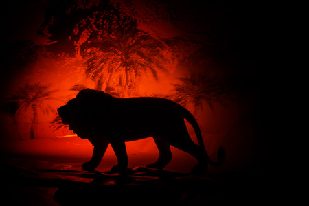 Silhouette of a lion against the African sunset.の写真素材
