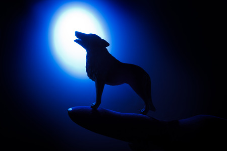 wolf in silhouette howling to the full moon.の写真素材