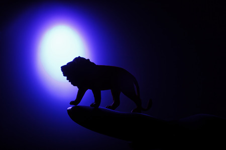 Lion in silhouette howling to the full moon.の写真素材