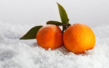 Mandarins with leaves on snow. Winter conceptの写真素材