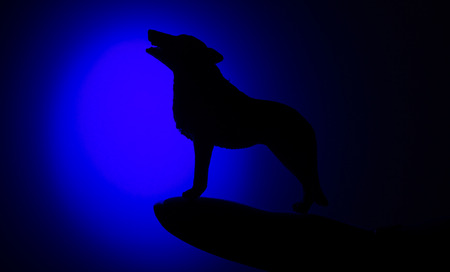 wolf in silhouette howling to the full moonの写真素材