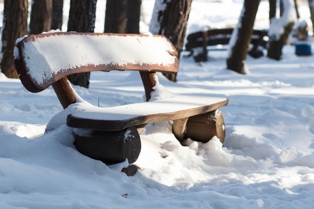 bench in winter parkの写真素材