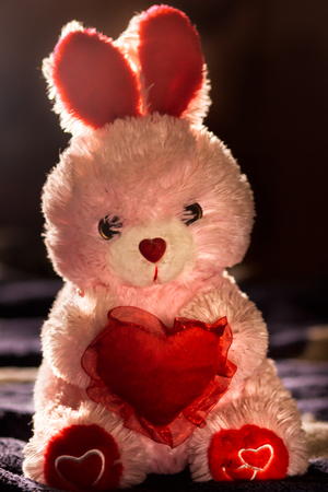 Toy rabbit with heart. Love. St. Valentine Dayの写真素材
