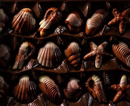 Chocolate candies on sea shellの写真素材