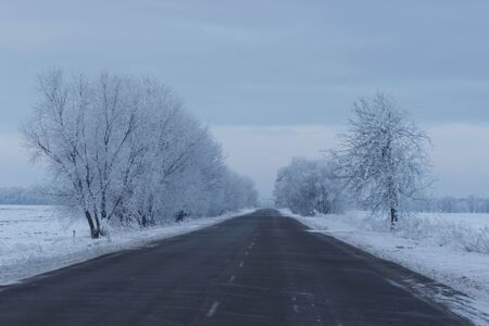 Winter landscape. Frost frost on the trees. Mist evaporation of water. Blue sky. Sunny day. Opaque air saturated with water vapor, filled with bright light of the sunの写真素材