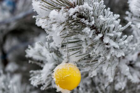tree in the snow with bright toysの写真素材