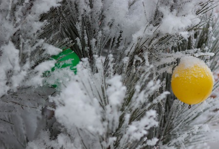 tree in the snow with bright toysの写真素材