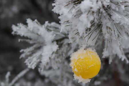 tree in the snow with bright toysの写真素材