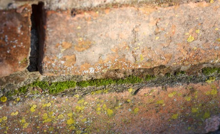 red brick wall texture grunge background, may use to interior designの写真素材