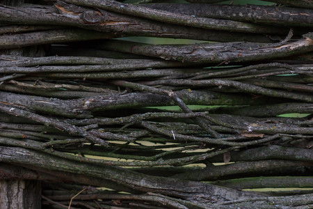 Wood background or texture.の写真素材