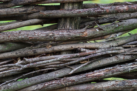 Wood background or texture.