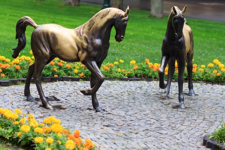 horse statue on Gorky Park Kharkivの写真素材