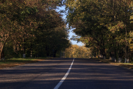 Autumn scene with roadの写真素材