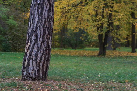 Autumn Landscape. Colorful fall natureの写真素材