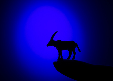 Silhouettes of animals on blue backgroundの写真素材