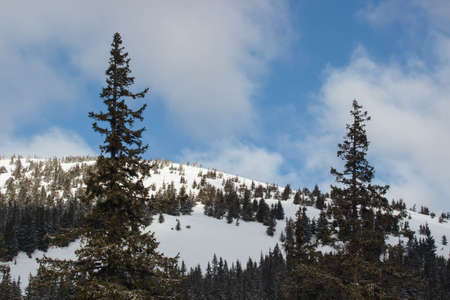 Mountain climbers trekking