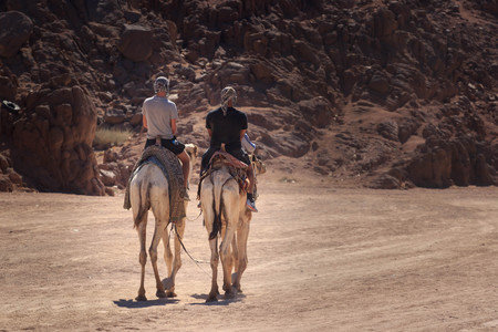 Sharm El Sheikh, Egypt - January 24, 2018:people traveling on camels in egypt desertのeditorial素材
