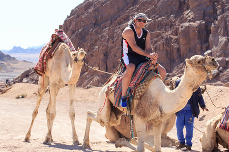 Sharm El Sheikh, Egypt - January 24, 2018:people traveling on camels in egypt desertのeditorial素材