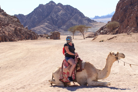 Sharm El Sheikh, Egypt - January 24, 2018:people traveling on camels in egypt desertのeditorial素材