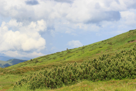 Beautiful green mountains hills and cloudy blue sky.の写真素材