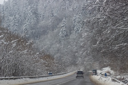 Winter road surrounded by snow-covered trees.の写真素材