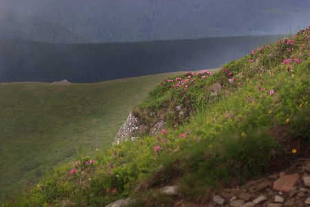 Beautiful green mountains hills and cloudy blue sky.