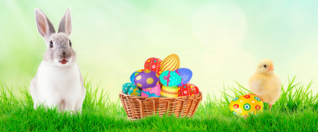 Little Bunny In Basket With Decorated Eggs and spring chicken - Easter Card.