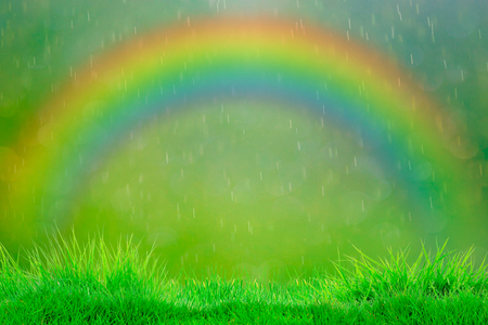 natural green background grass on the rain summer or winter day background.の写真素材