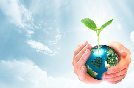World environment day concept: human hands holding big growth tree and earth globe over sunny blue sky spring backgroundの写真素材