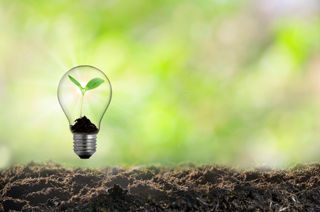 Concept creative idea and innovation with plant ball,の写真素材
