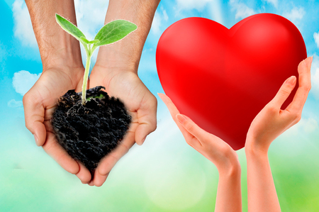 Love and protect nature. Nurturing young plant seedling. World environment day. Save the worldの写真素材