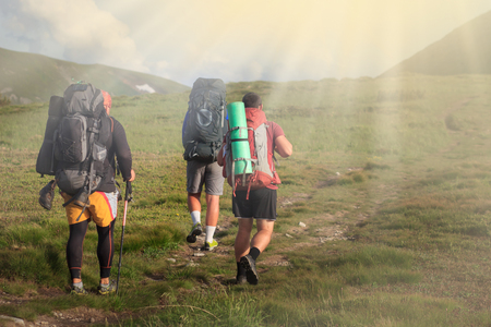 Tourist group hiking in mountains. Treking road near wild horses. Amazing Landscape. Kyrgyszstanの写真素材