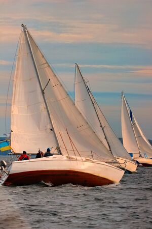 sailing into the sunset. Sailboats regatta.