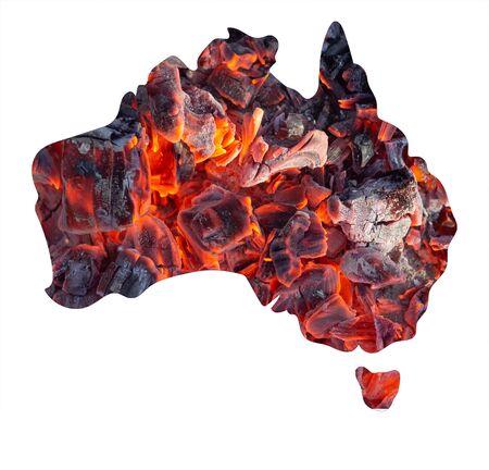 Fire in Australia. Animals killed in Fiers. Catastrophe and apocalypse. Pray for Australiaの写真素材