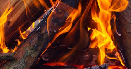 Bonfire. Orange flame of a fire. Burning birch tree in the fireplace. Bonfire on the grill with smoke. Arson or natural disaster. Bonfire close. Fire in nature. Bonfire background.の写真素材