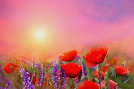 spring blooming of poppies in Galilee near the Nazareth, against the background biblical Mount Tabor, Israelの写真素材