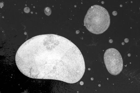 Texture of ice of Baikal lake in Siberia with air bubblesの写真素材