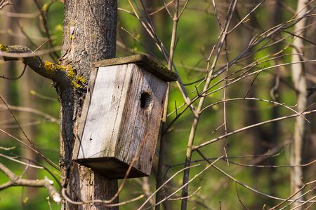 Birdhouse on tree at springtime. Branch of fruit tree with bird house. Natureの写真素材