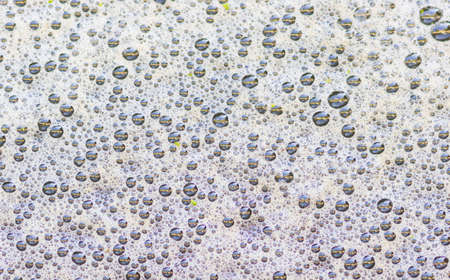 Foam bubbles texture light gray backgroundの写真素材
