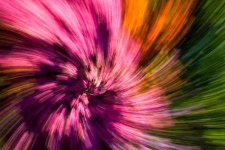 Colorful Abstract Background Flower Garden Spiral Pink Purple Orange Green Landscapeの写真素材