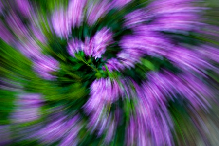 Colorful Abstract Flower Pink Purple Green Spiral Backgroundの写真素材