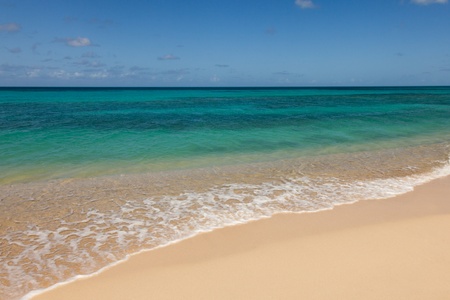 Beautiful Sandy Tropical Beach and Sunny Ocean Seascape with Copy Spaceの写真素材