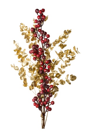 Sparkly Red Berries on Golden Leaves Isolated Background with Copy Spaceの写真素材