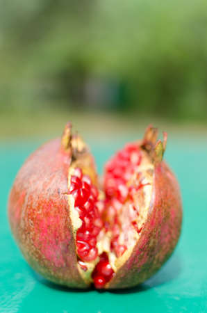 open pomegranate red on a green background