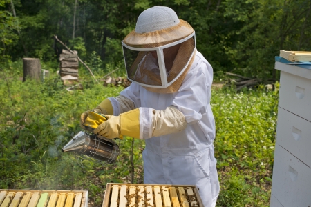 Bee Keeping