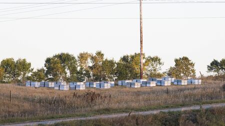 Beehives