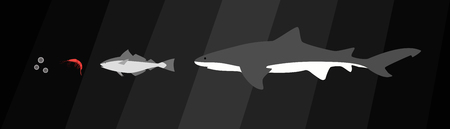 Ocean food chain shark fish zooplankton phytoplankton plankton flat designのイラスト素材