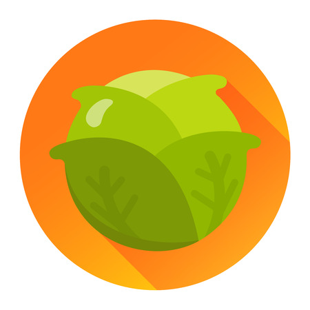 Salad head of lettuce flat design iconのイラスト素材
