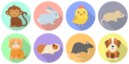 Animal icons monkey bunny chicken mouse cat guinea pig rat dog flat design isolated on colorful circles background with shadowのイラスト素材